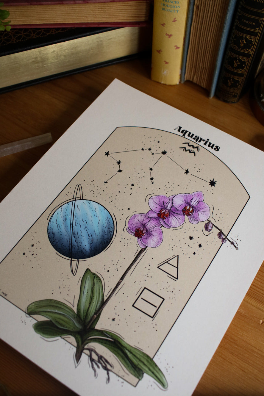 Aquarius - Astrology Infographic
