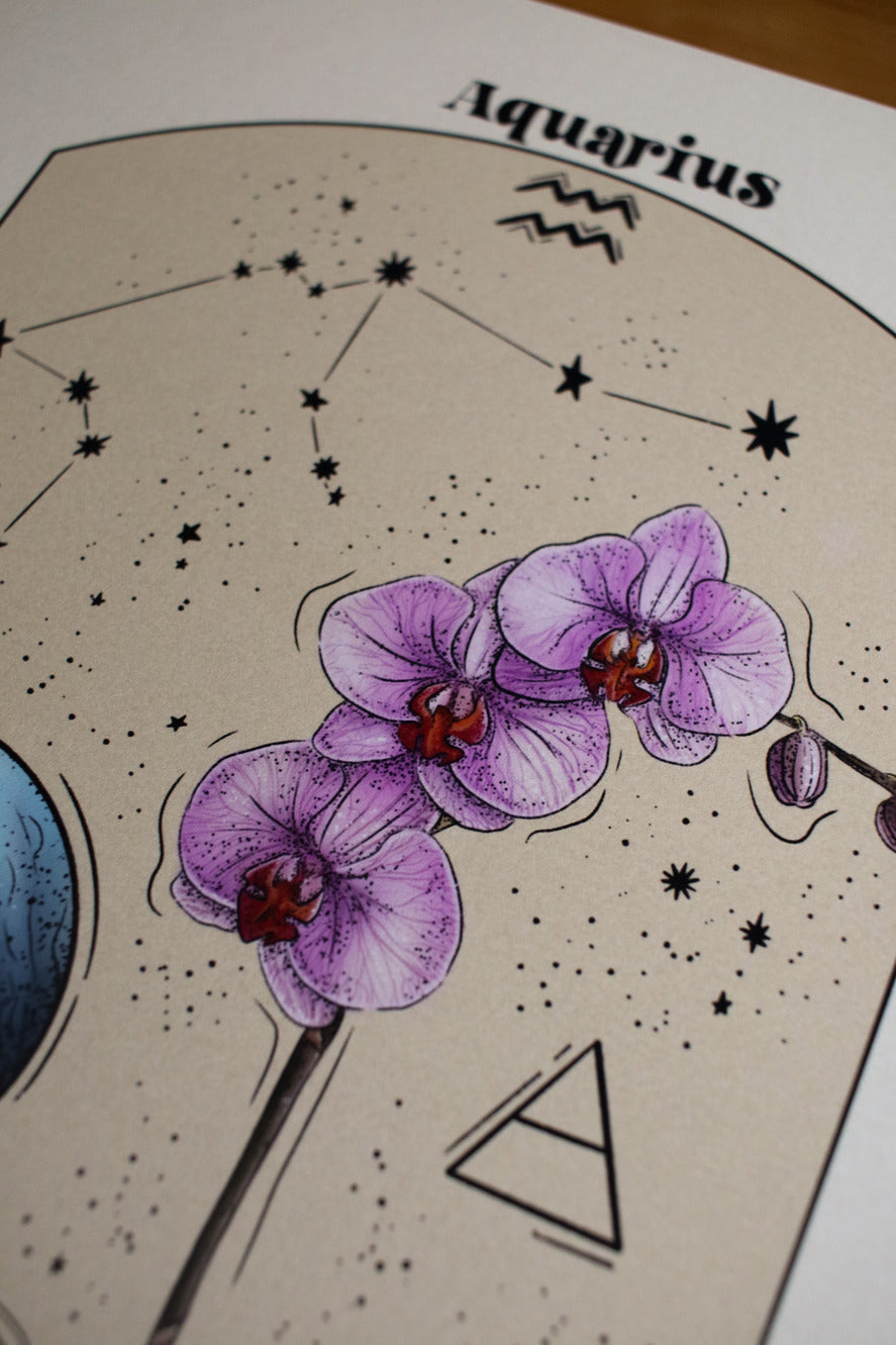 Aquarius - Astrology Infographic