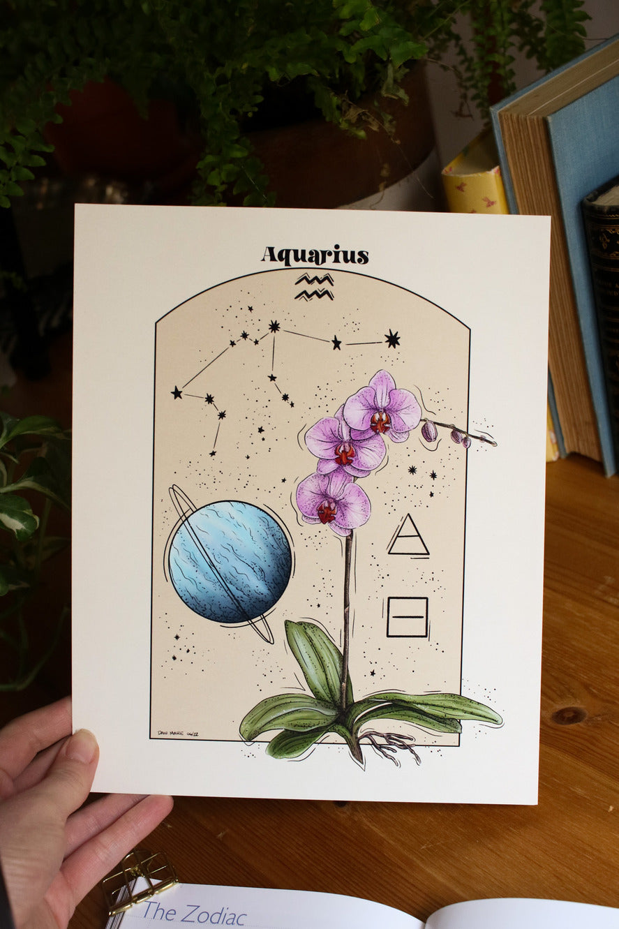 Aquarius - Astrology Infographic
