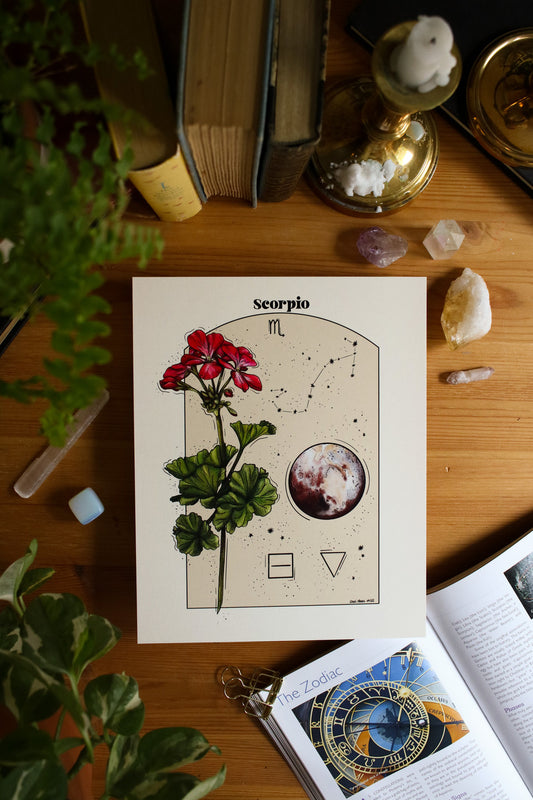 Scorpio - Astrology Infographic
