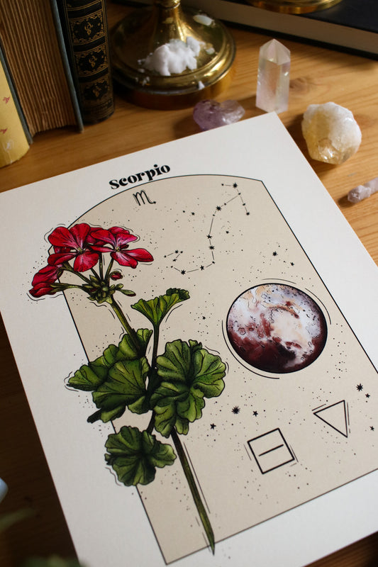 Scorpio - Astrology Infographic