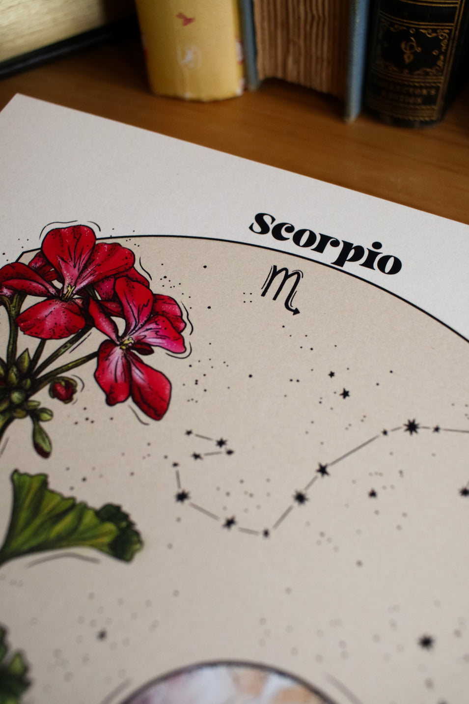 Scorpio - Astrology Infographic