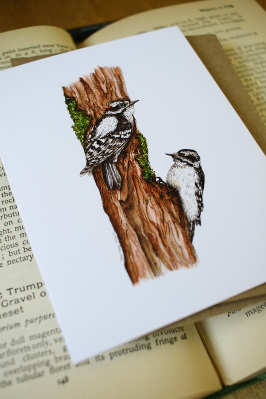 Downy Woodpecker - SMALL Greeting Card