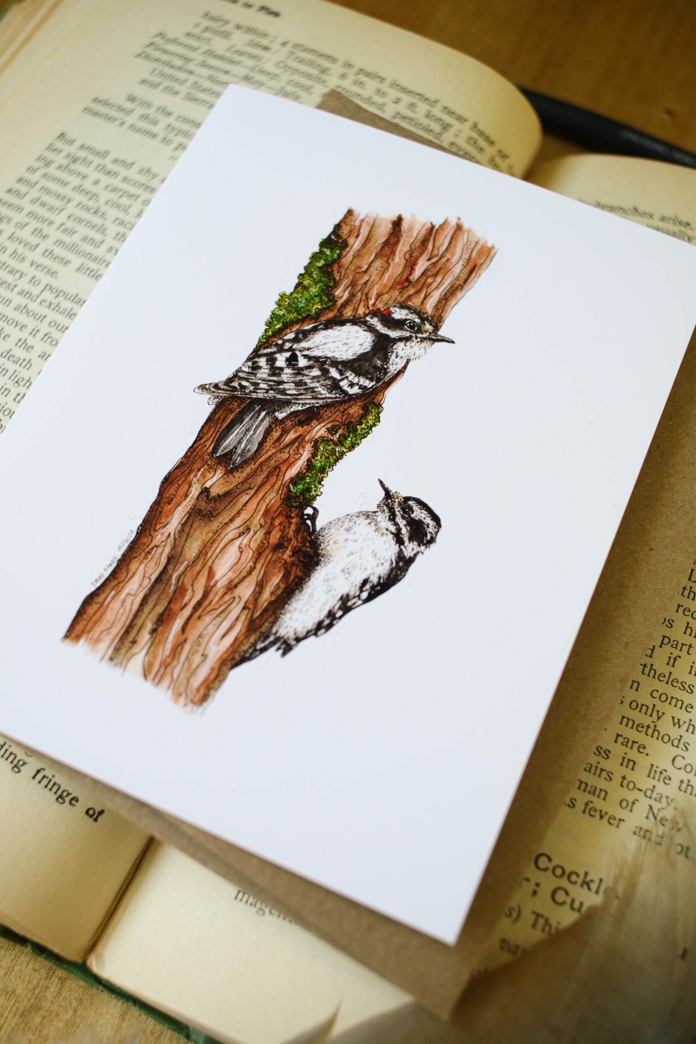 Downy Woodpecker - SMALL Greeting Card