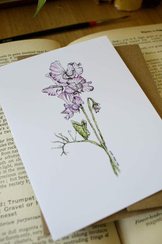 Heirloom Sweet Peas- SMALL Greeting Card