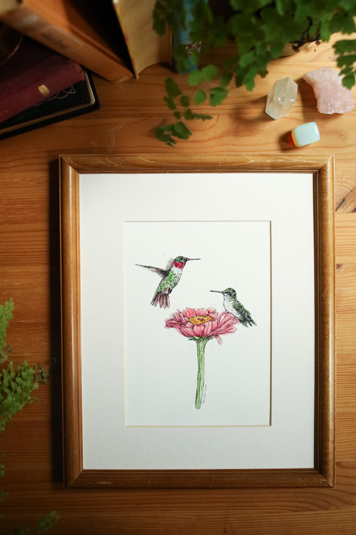 Ruby Throated Hummingbird