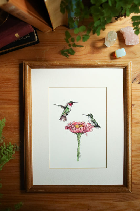Ruby Throated Hummingbird