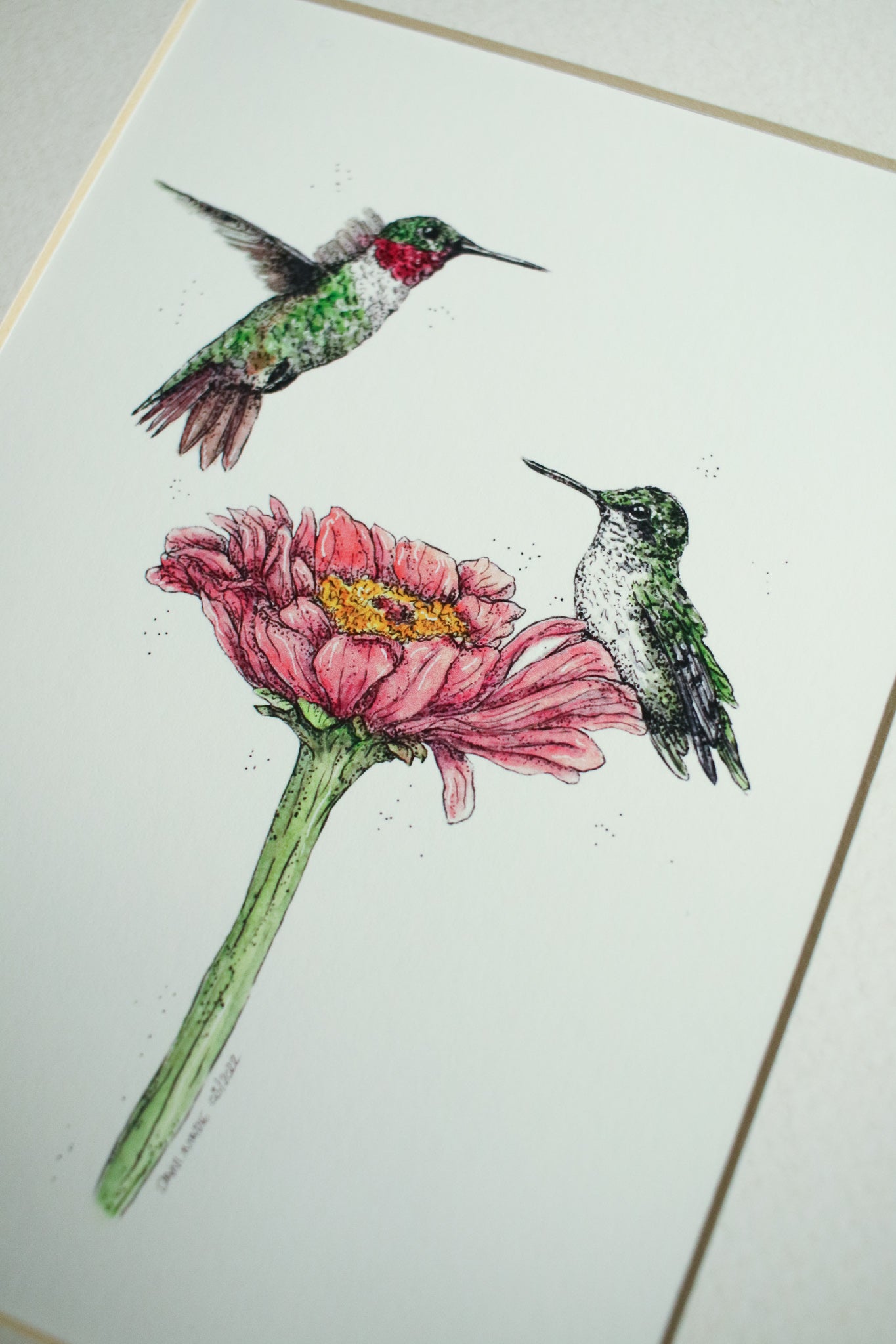 Ruby Throated Hummingbird