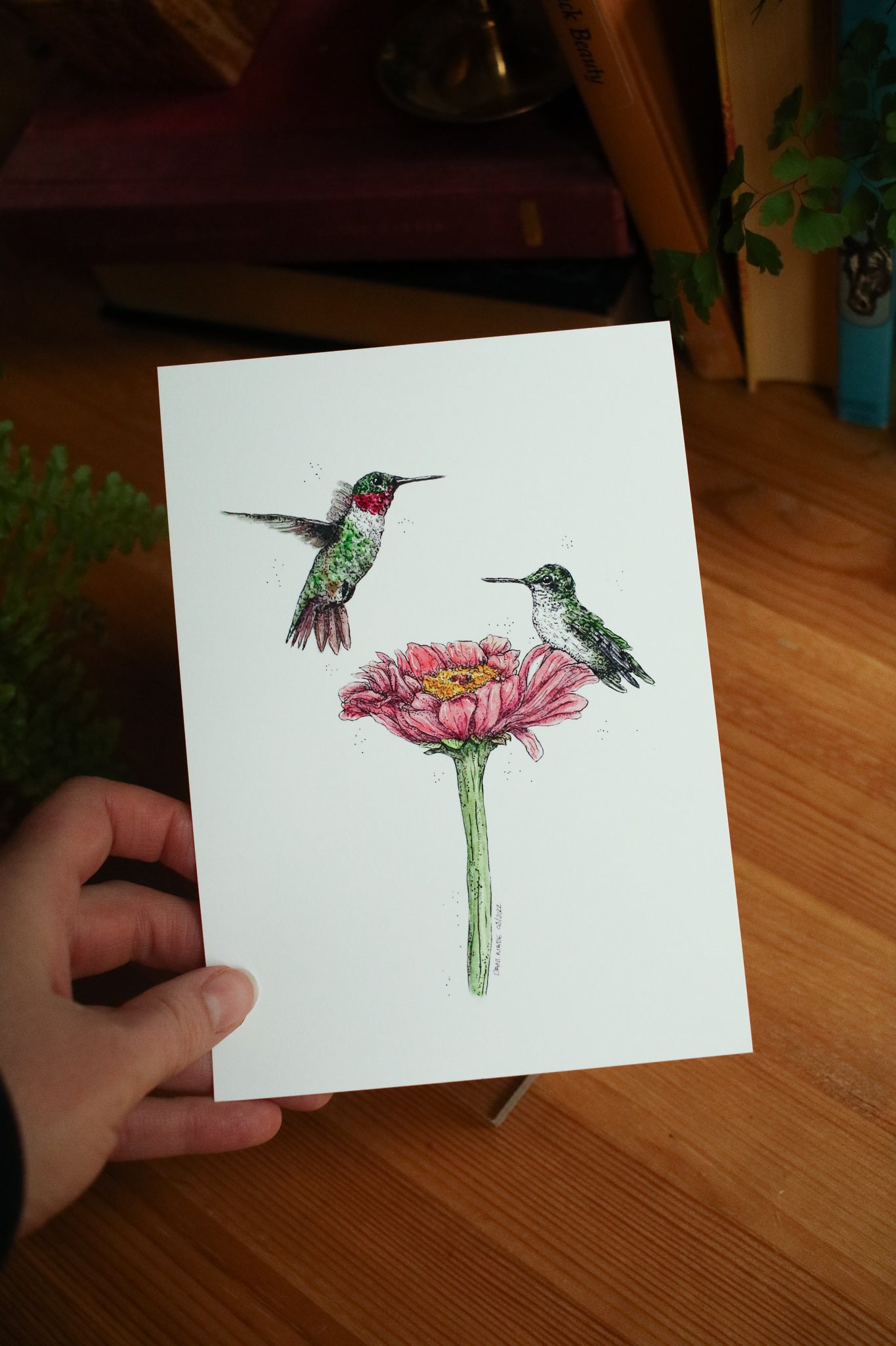 Ruby Throated Hummingbird