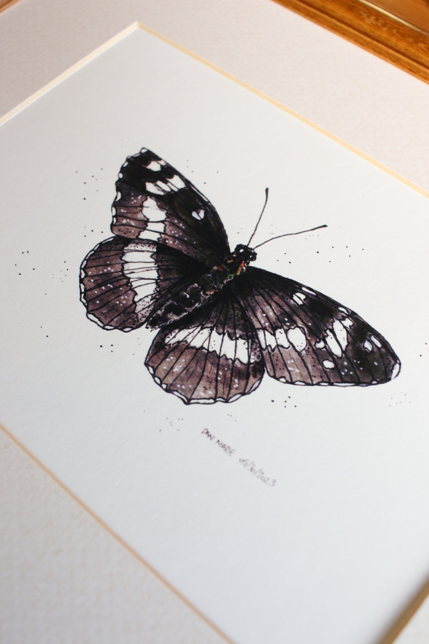 Butterfly - White Admiral