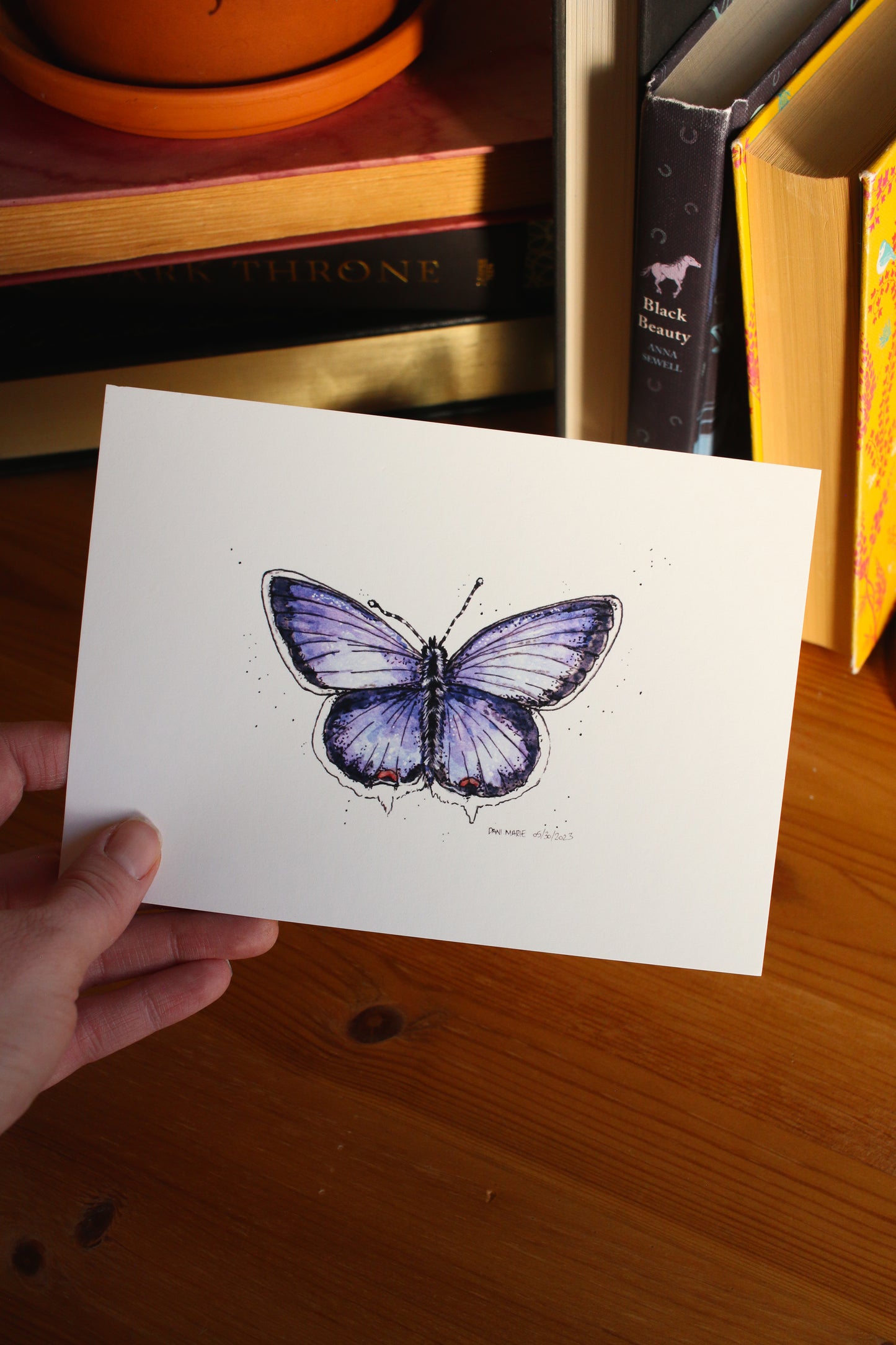 Butterfly - Eastern Tailed Blue