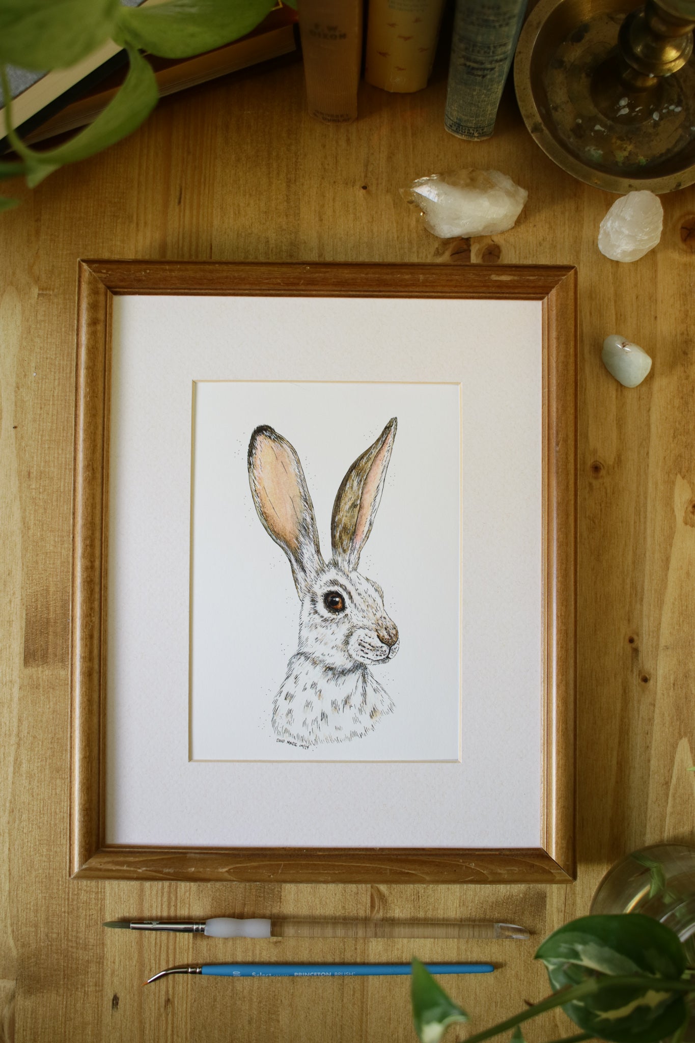 Winter Hare