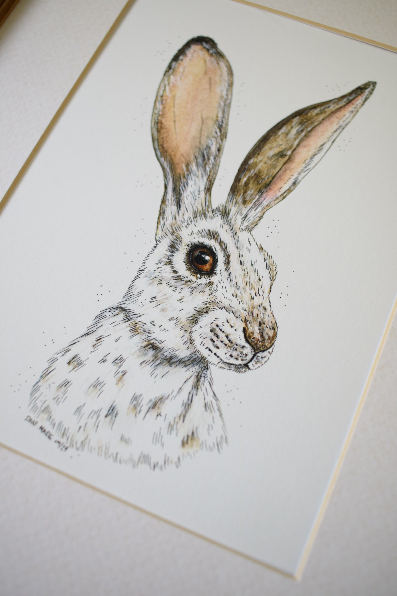 Winter Hare