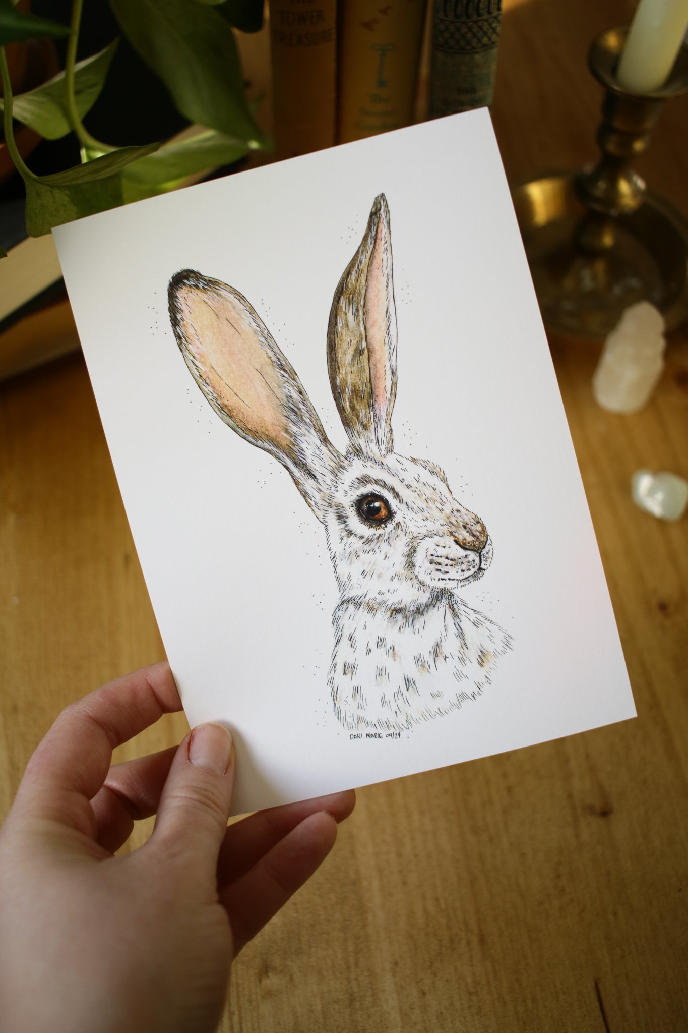 Winter Hare