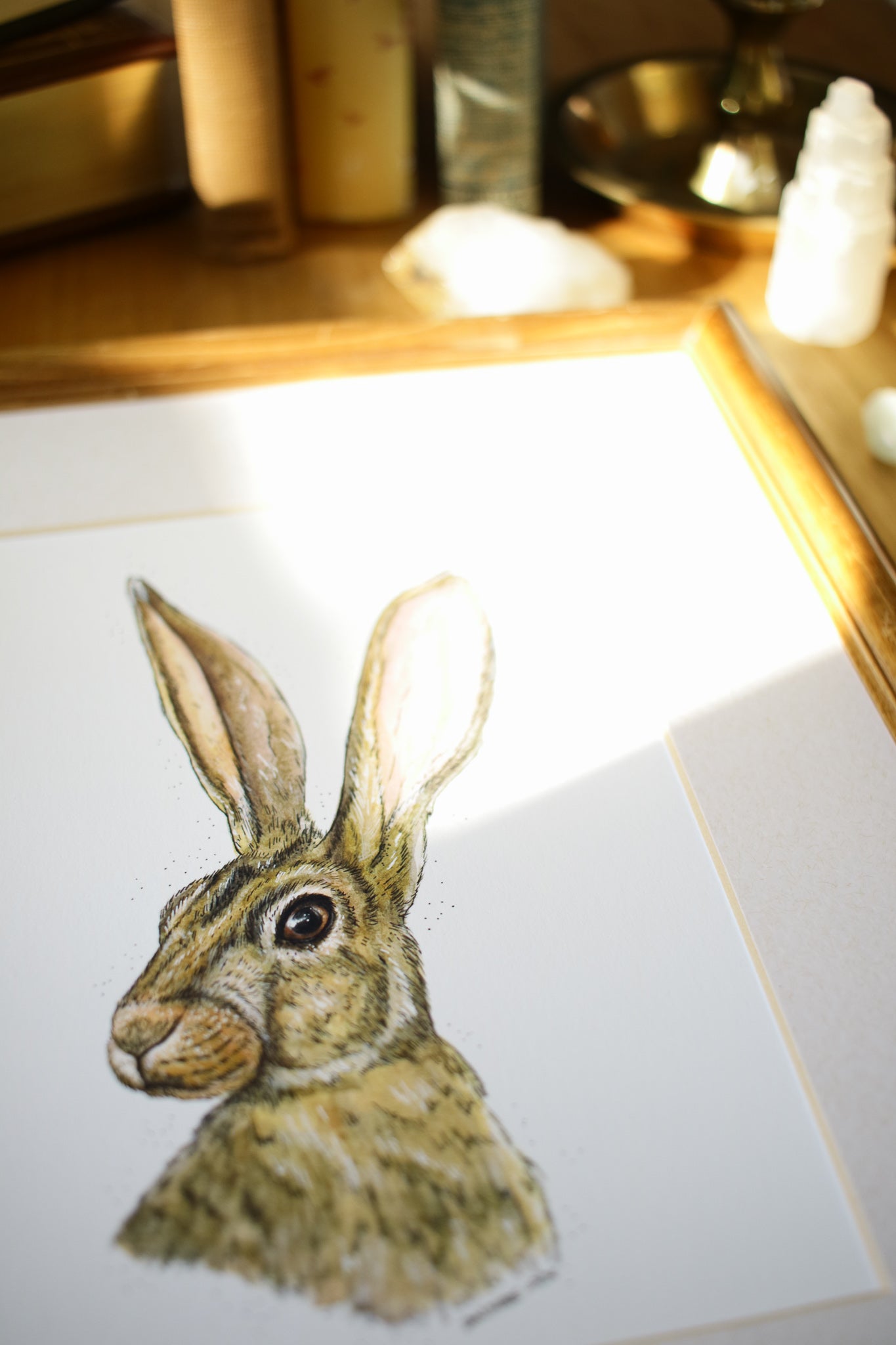 Summer Hare