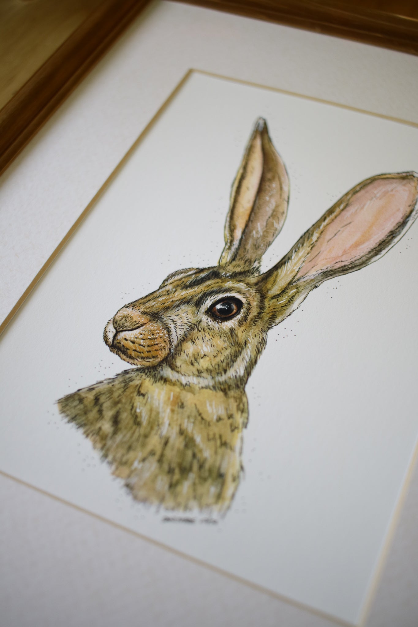 Summer Hare