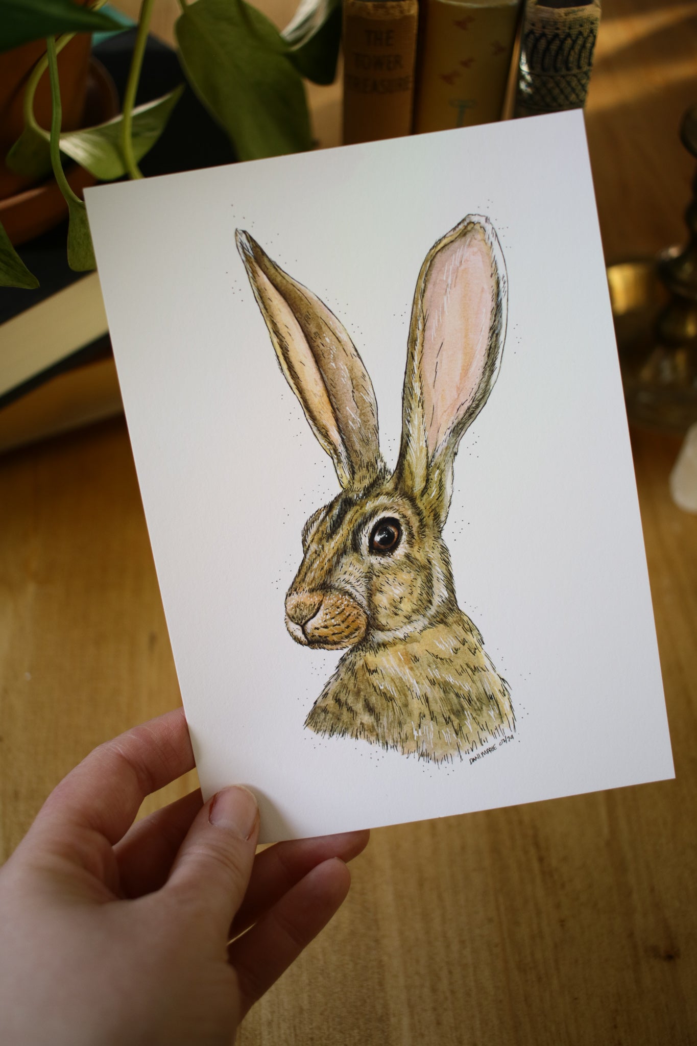 Summer Hare
