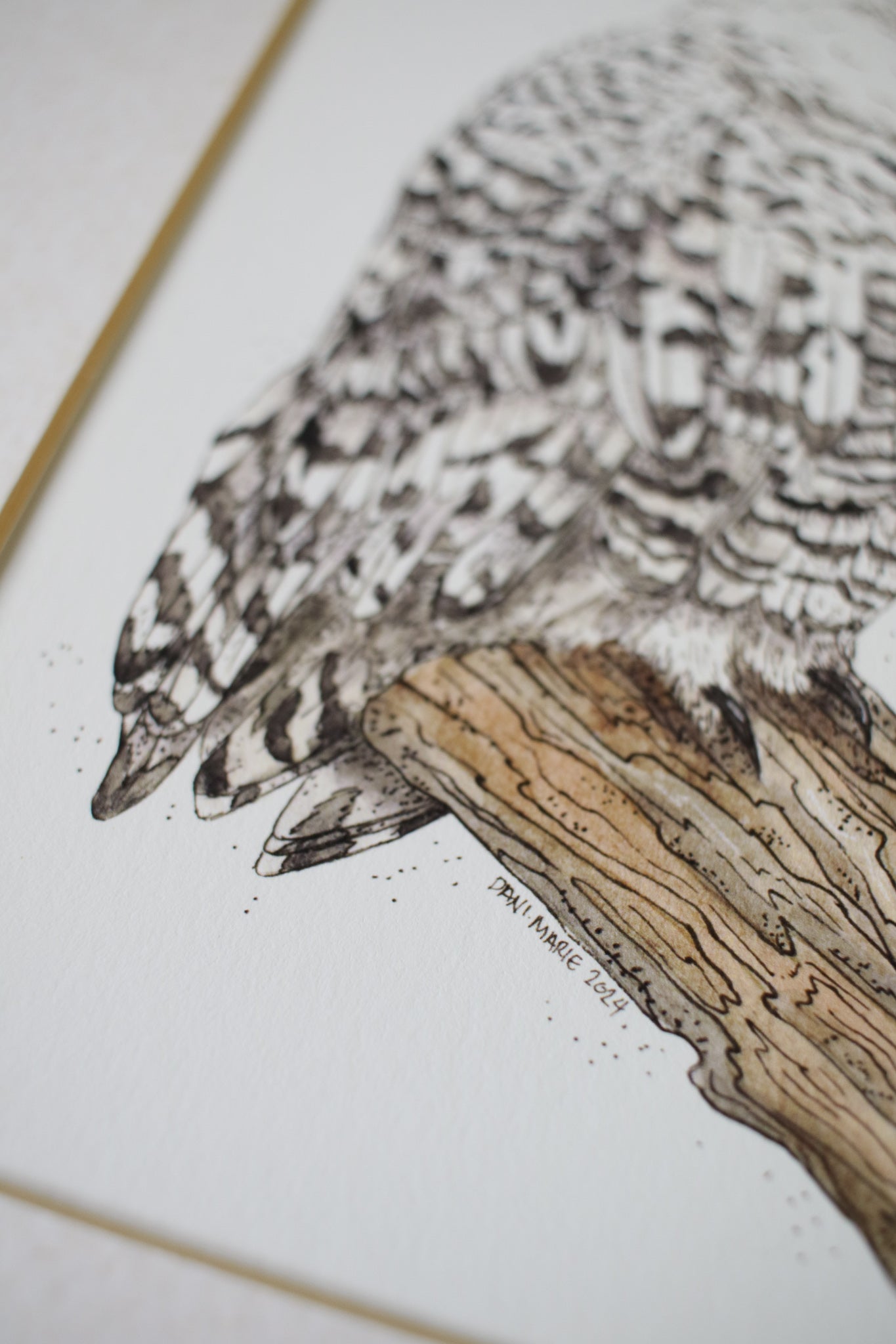 Snowy Owl
