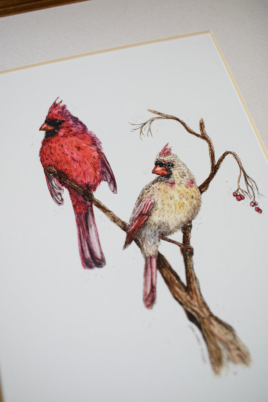 Cardinal - Pair