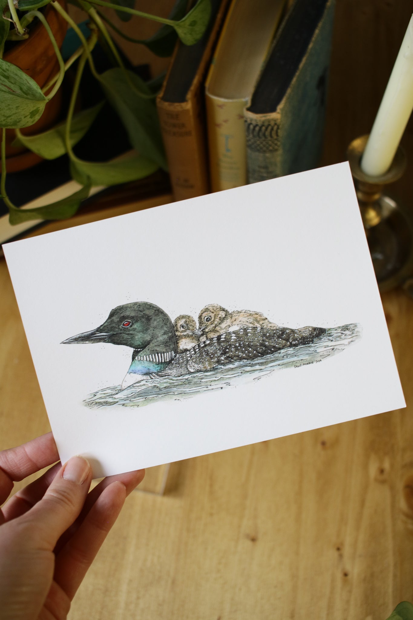 Loon with babies