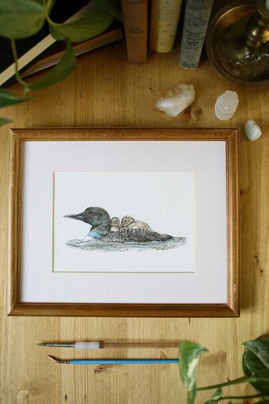 Loon with babies