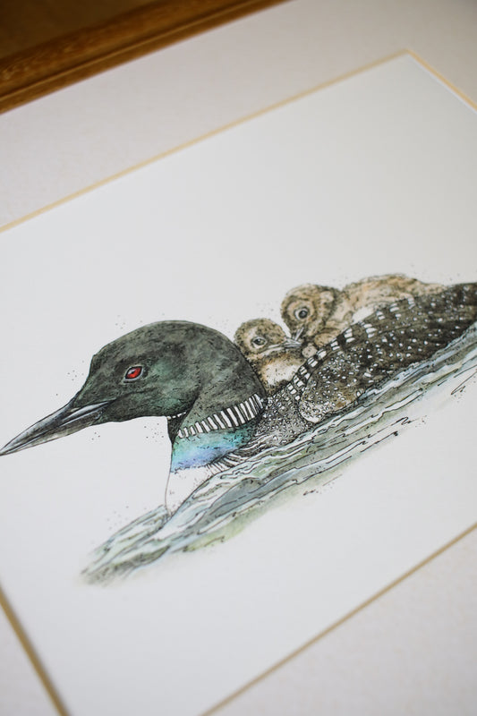 Loon with babies