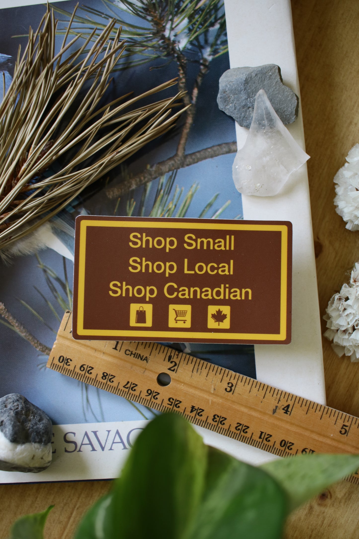 Shop Small, Shop Local, Shop Canadian - Sticker