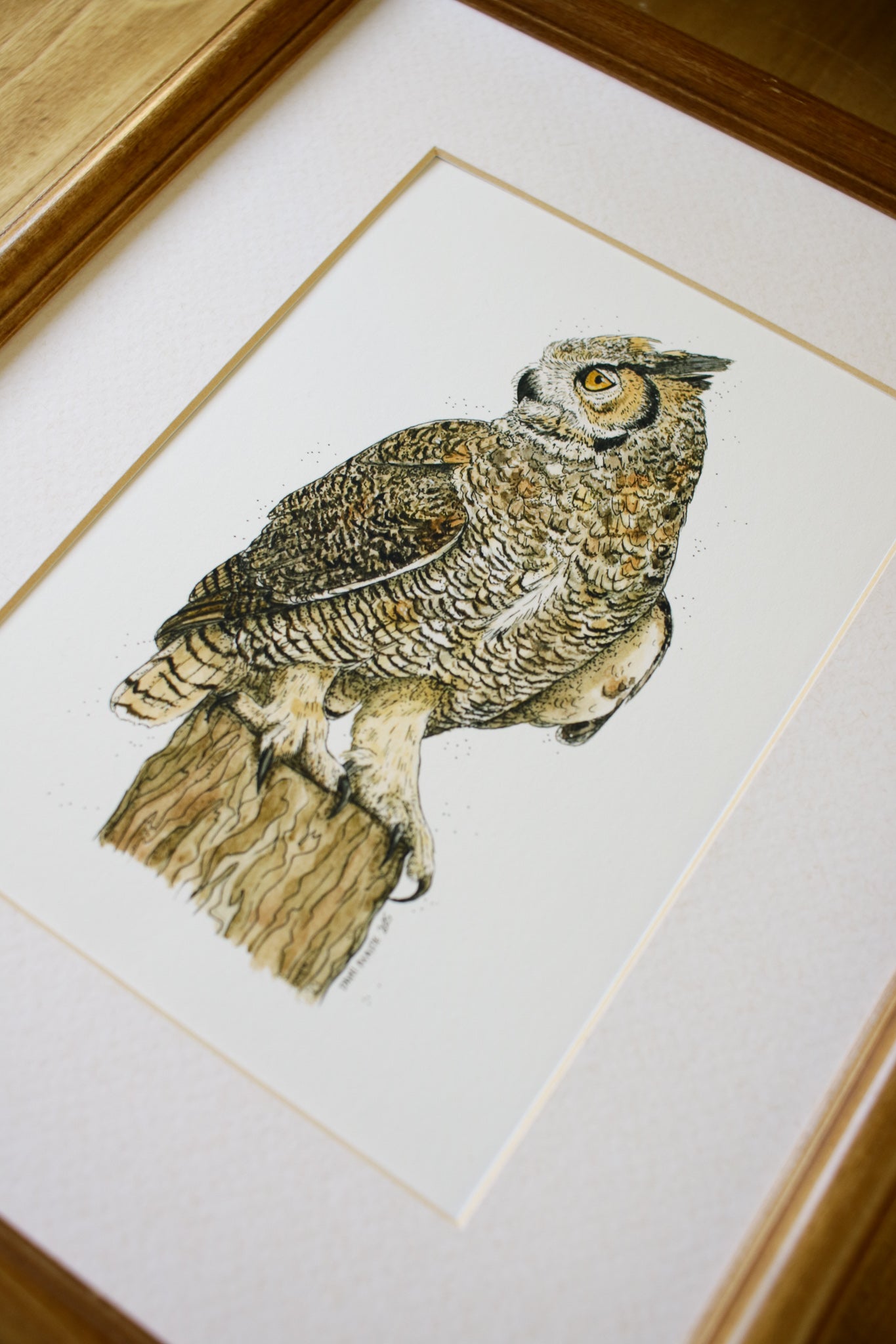 Great Horned Owl