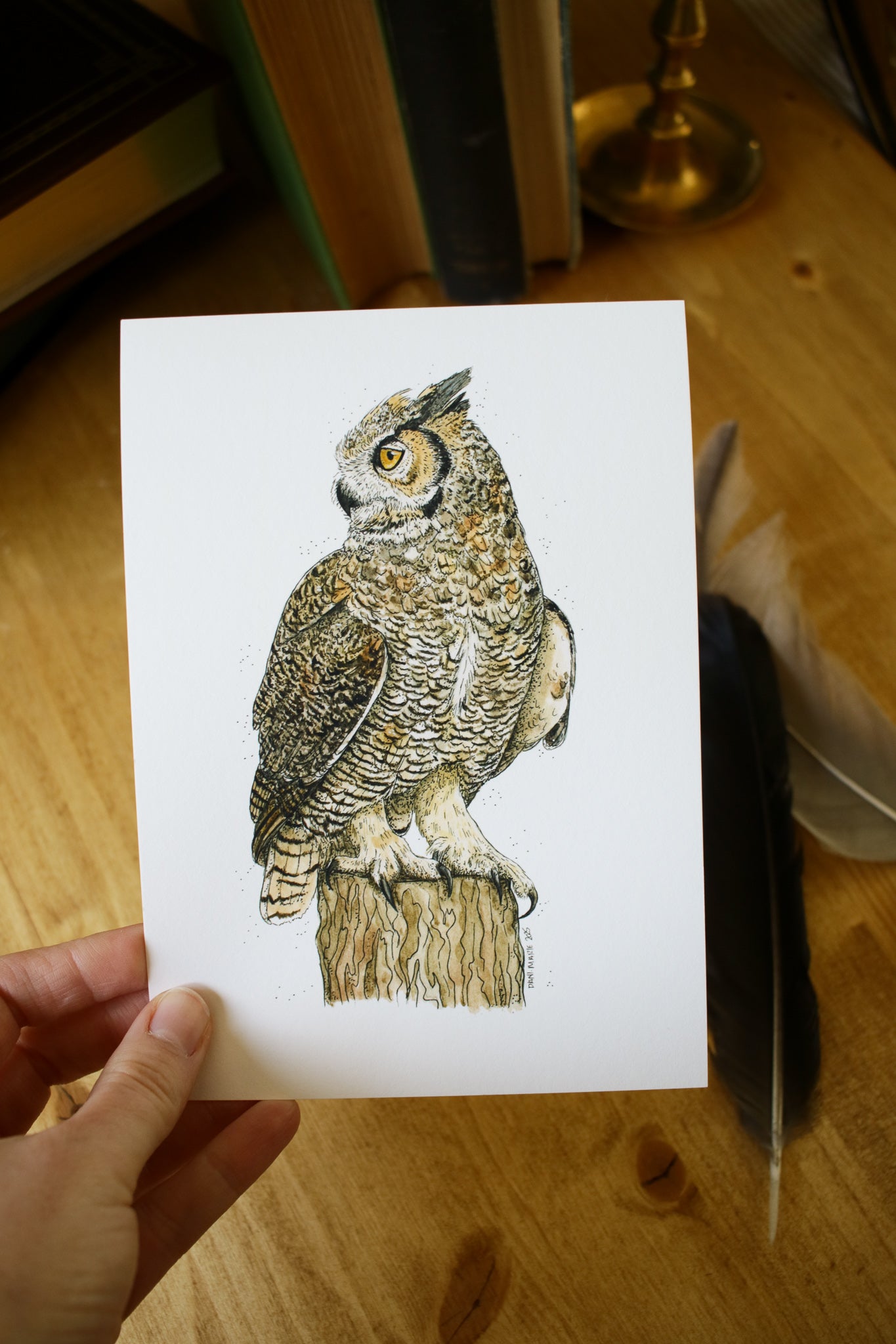 Great Horned Owl