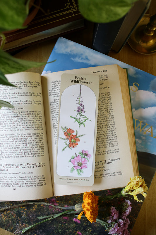 Prairie Wildflower Bookmark- Double Sided