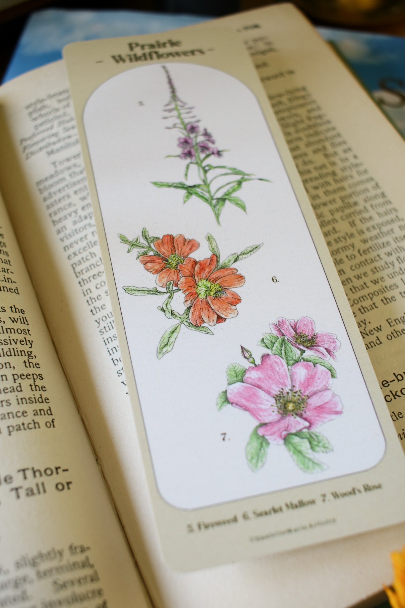 Prairie Wildflower Bookmark- Double Sided