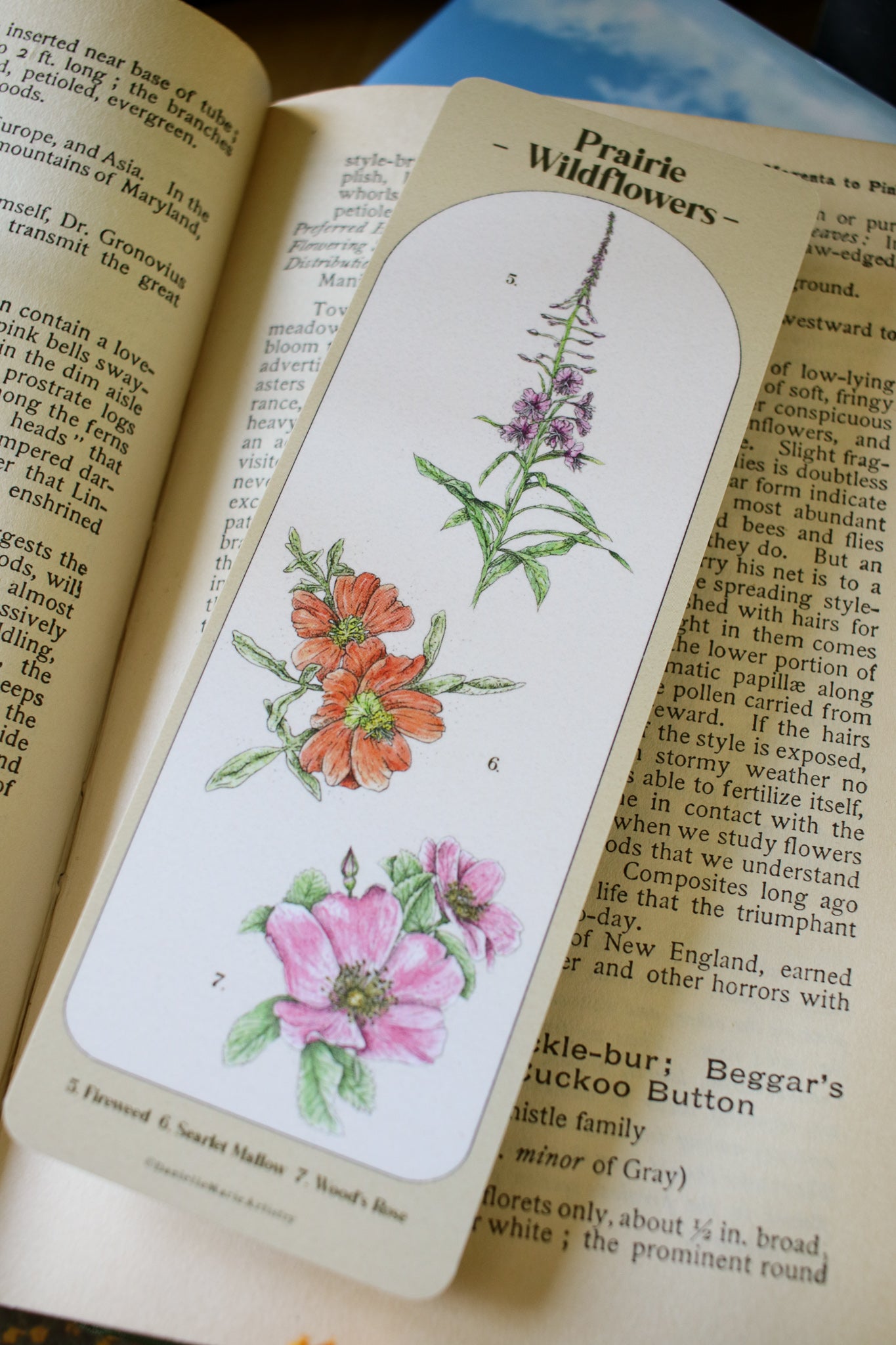 Prairie Wildflower Bookmark- Double Sided