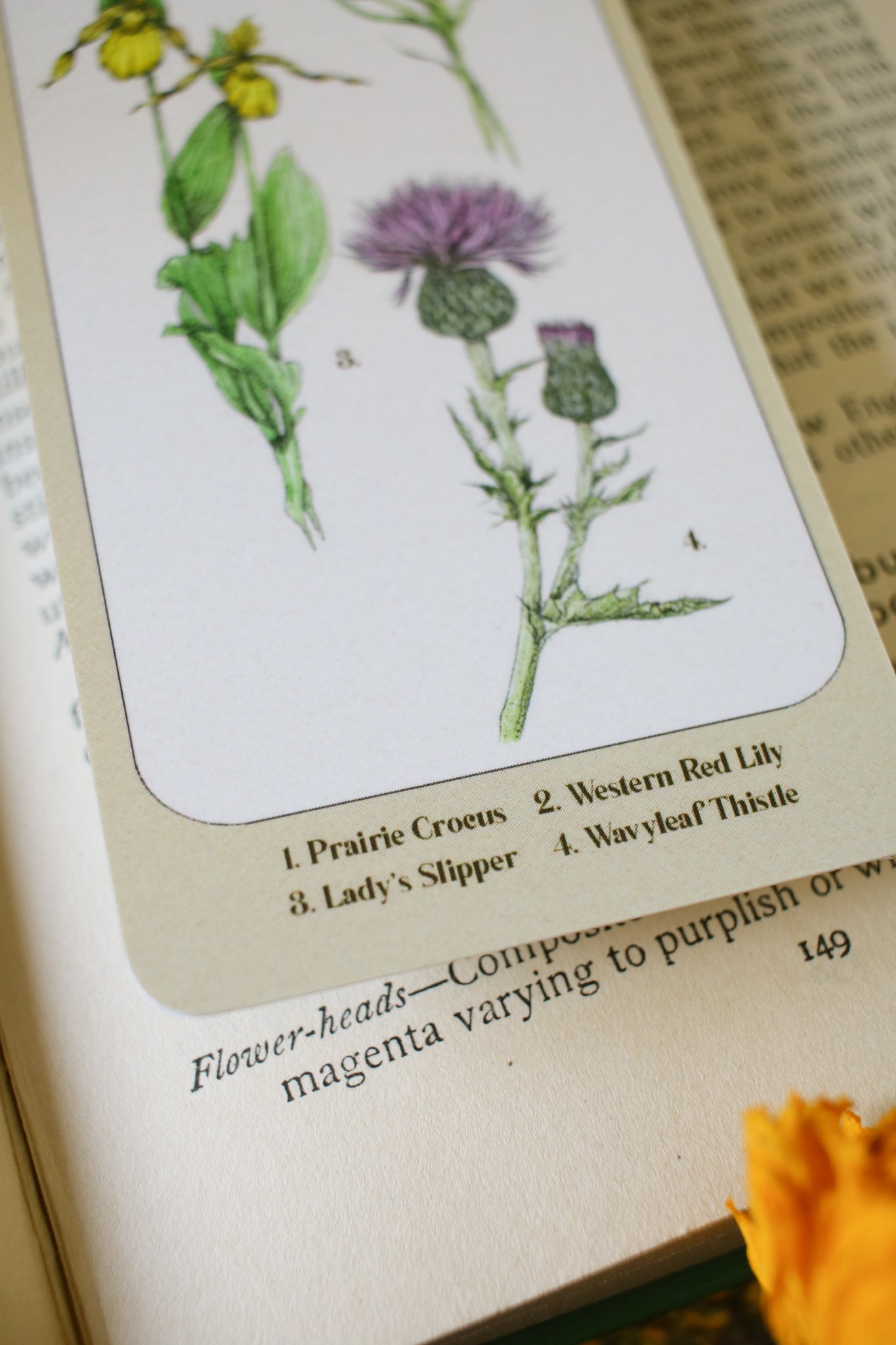 Prairie Wildflower Bookmark- Double Sided