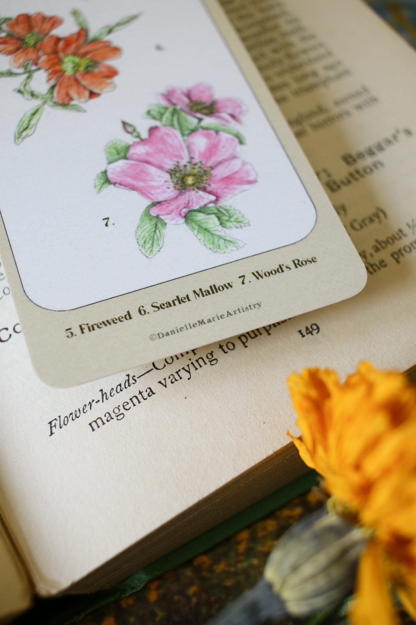 Prairie Wildflower Bookmark- Double Sided