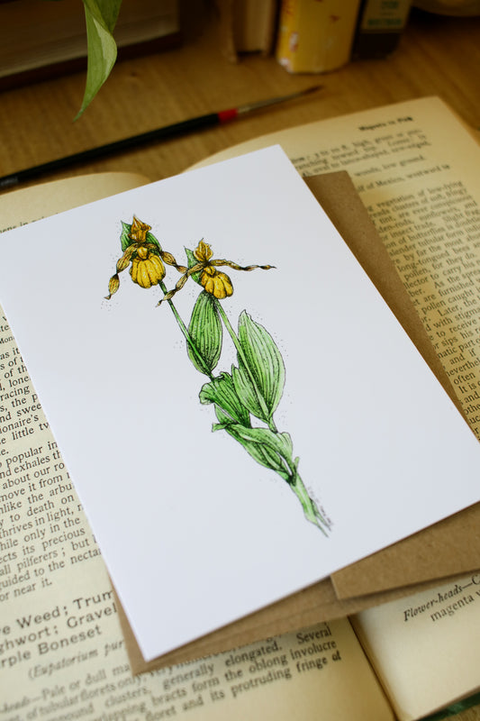 Lady Slipper - SMALL Greeting Card