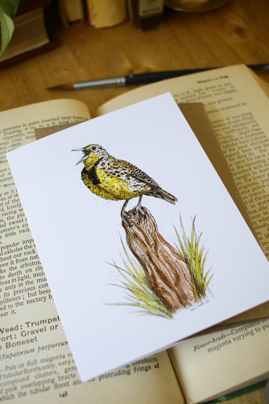 Meadow Lark - SMALL Greeting Card