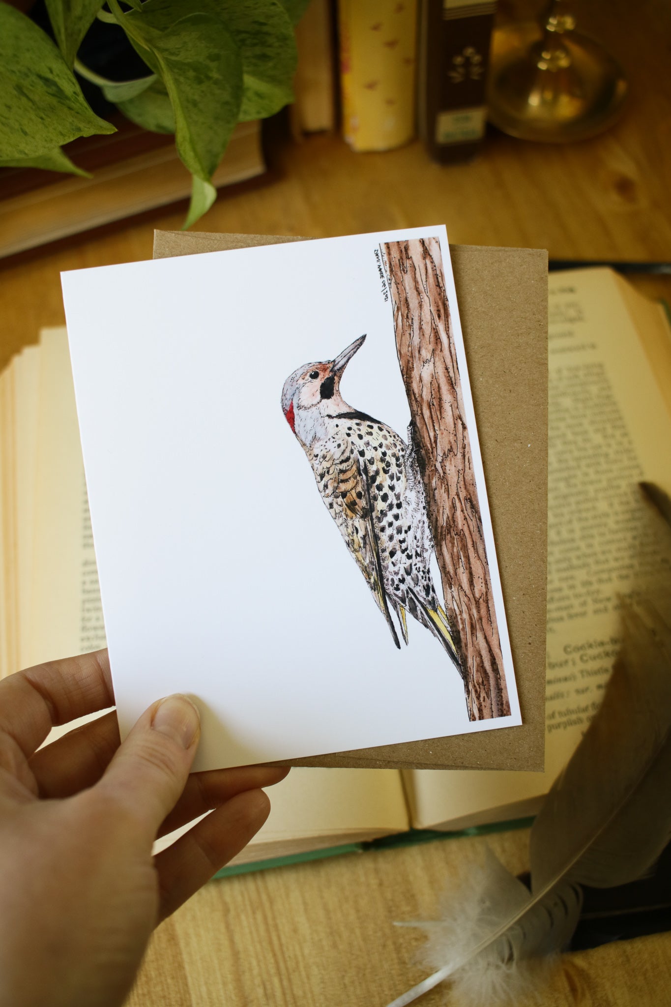 Northern Flicker - SMALL Greeting Card