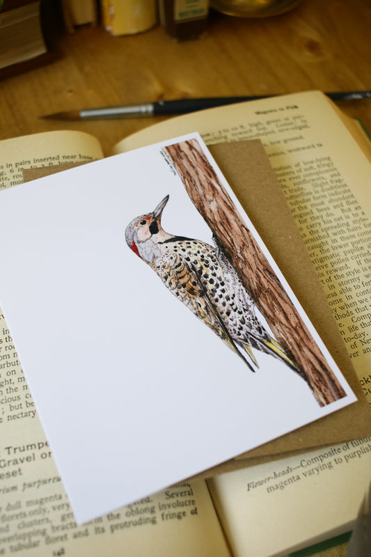 Northern Flicker - SMALL Greeting Card
