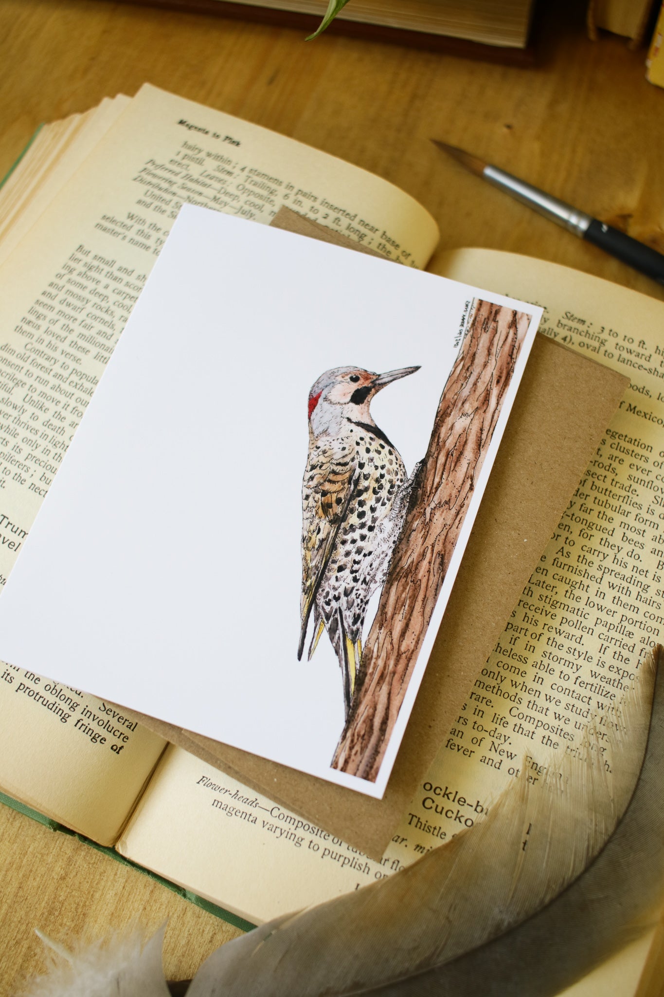 Northern Flicker - SMALL Greeting Card