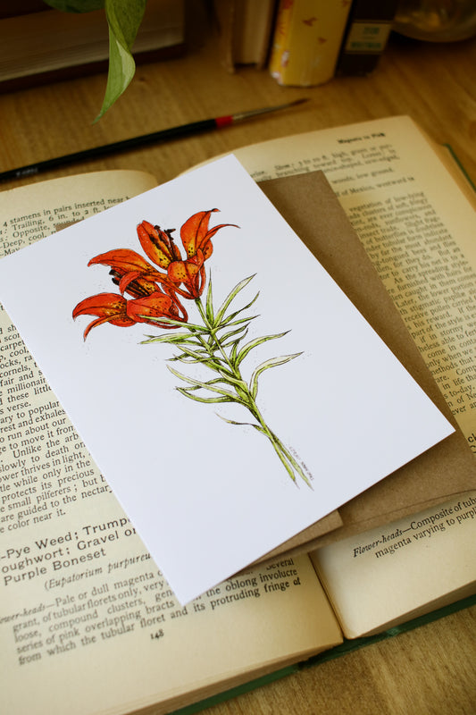 Western Red Lily - SMALL Greeting Card