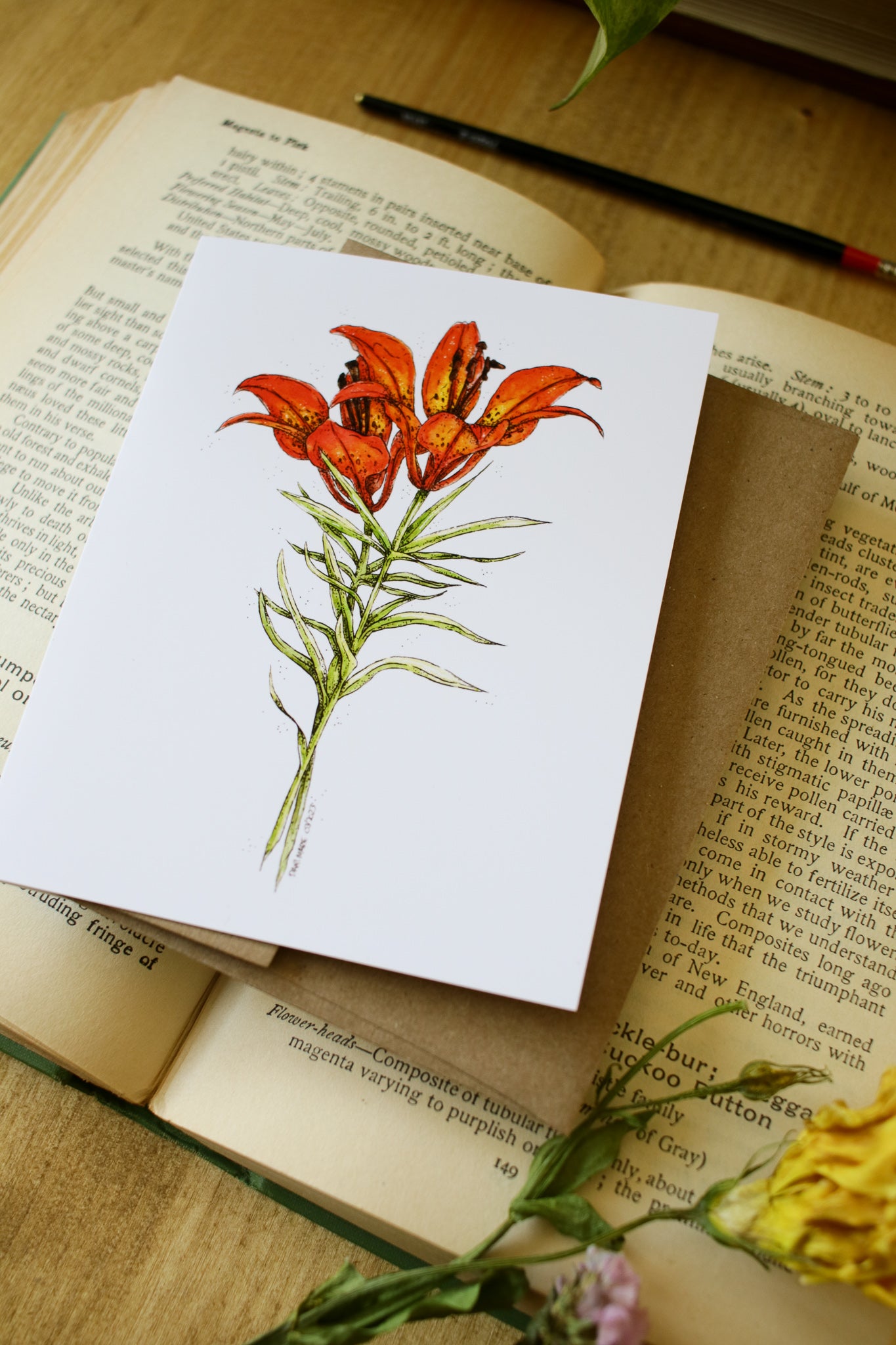 Western Red Lily - SMALL Greeting Card