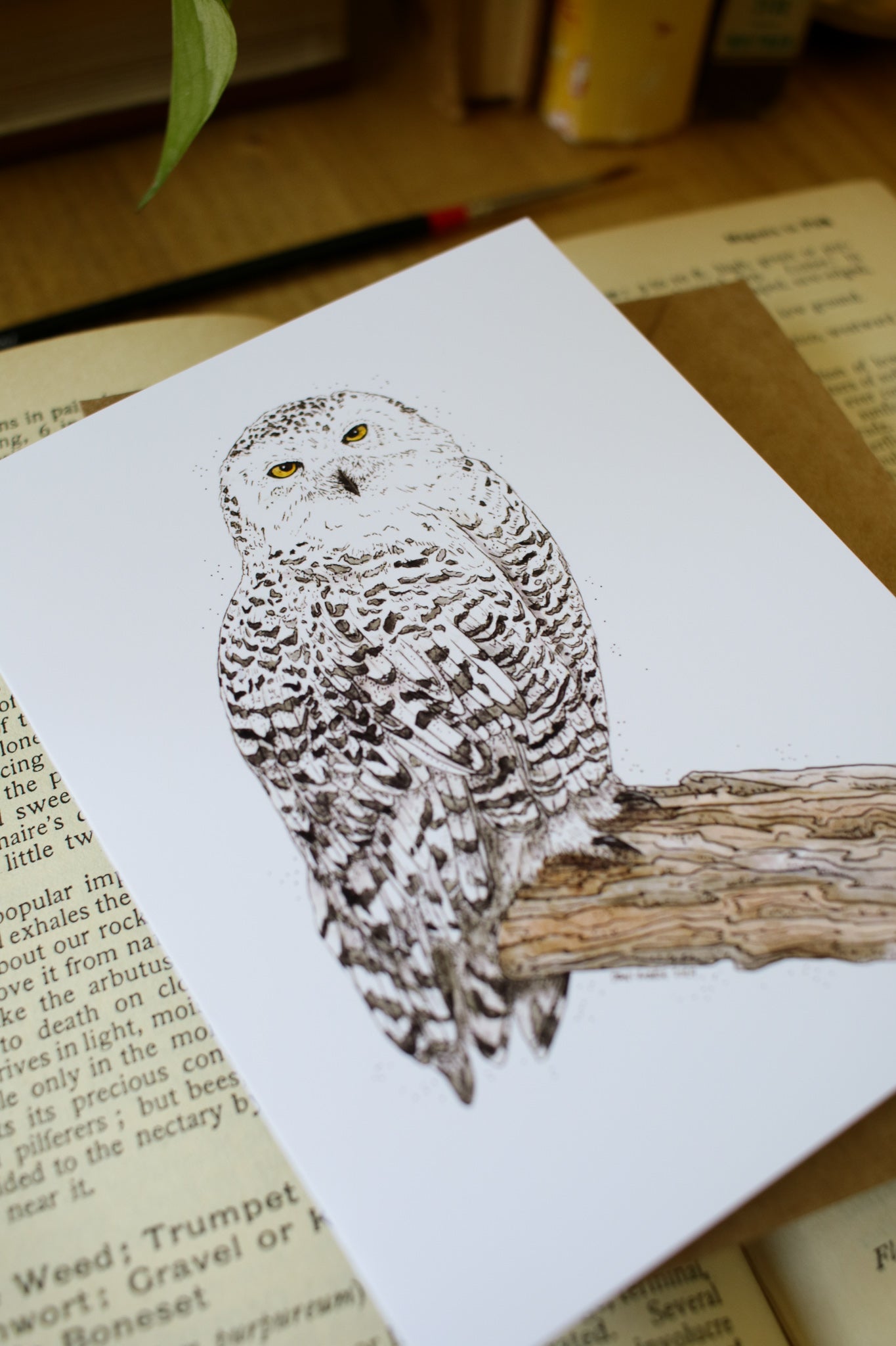 Snowy Owl - SMALL Greeting Card