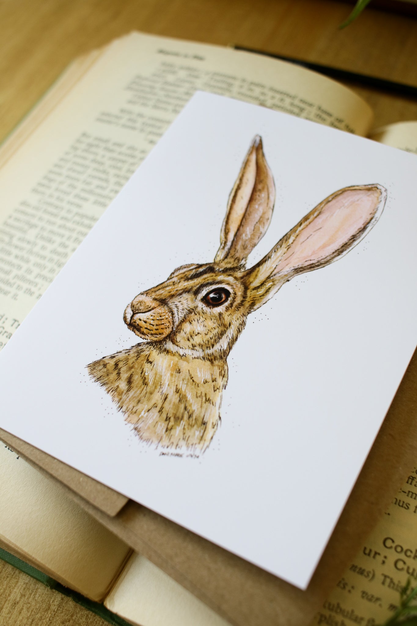 Hare - SMALL Greeting Card