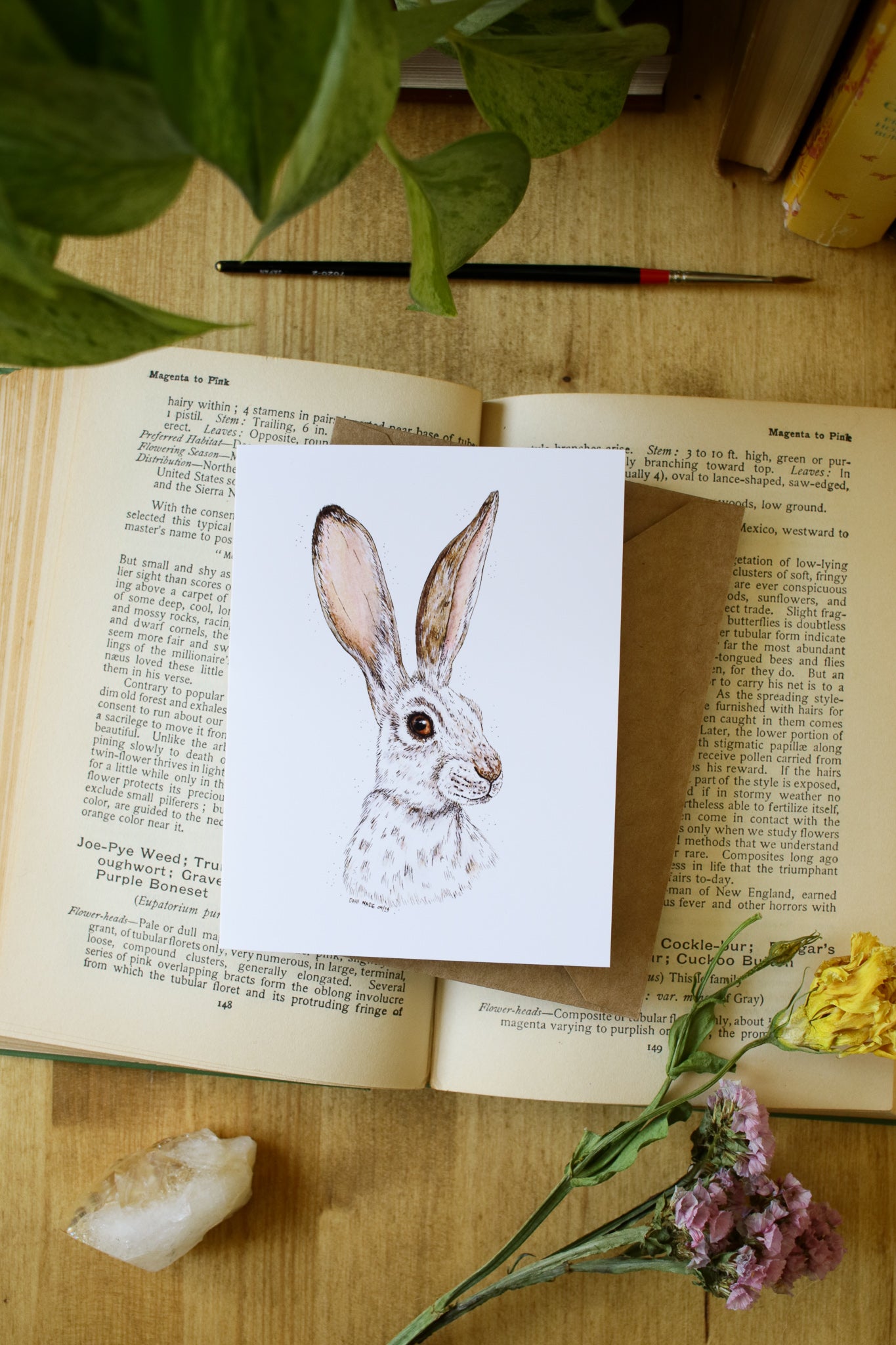 Winter Hare - SMALL Greeting Card