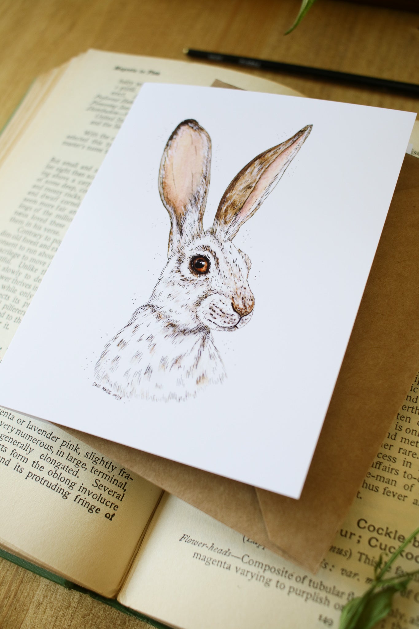 Winter Hare - SMALL Greeting Card