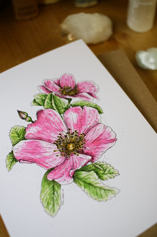 Woods Rose - SMALL Greeting Card