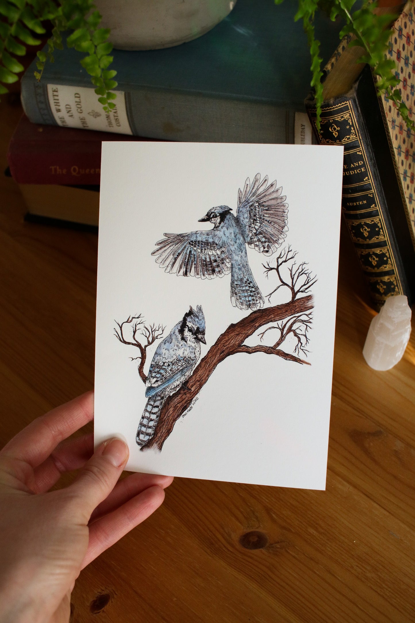 Blue Jays