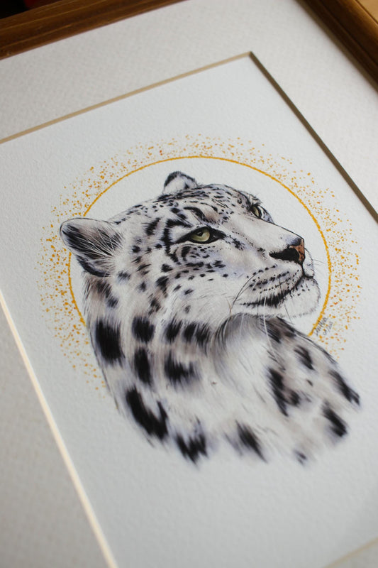 Snow Leopard