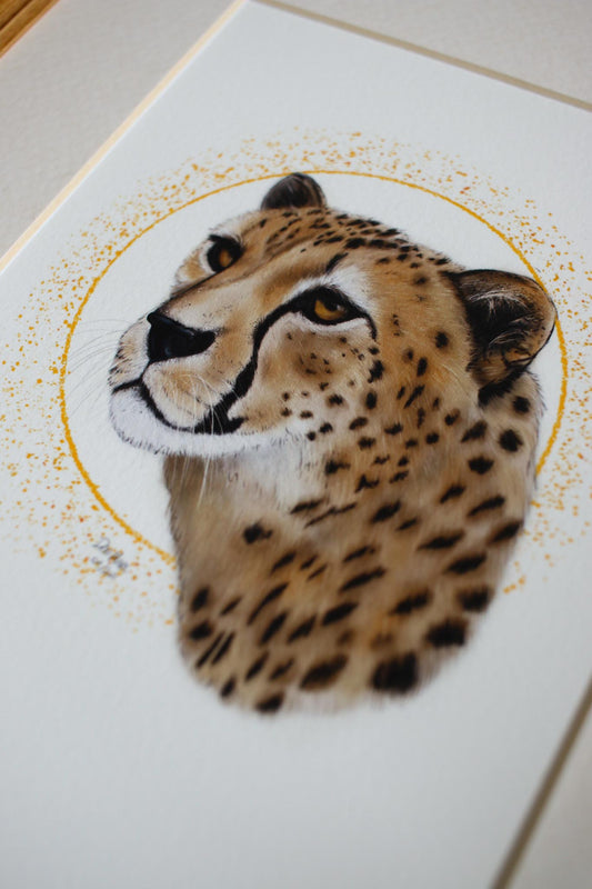 Cheetah