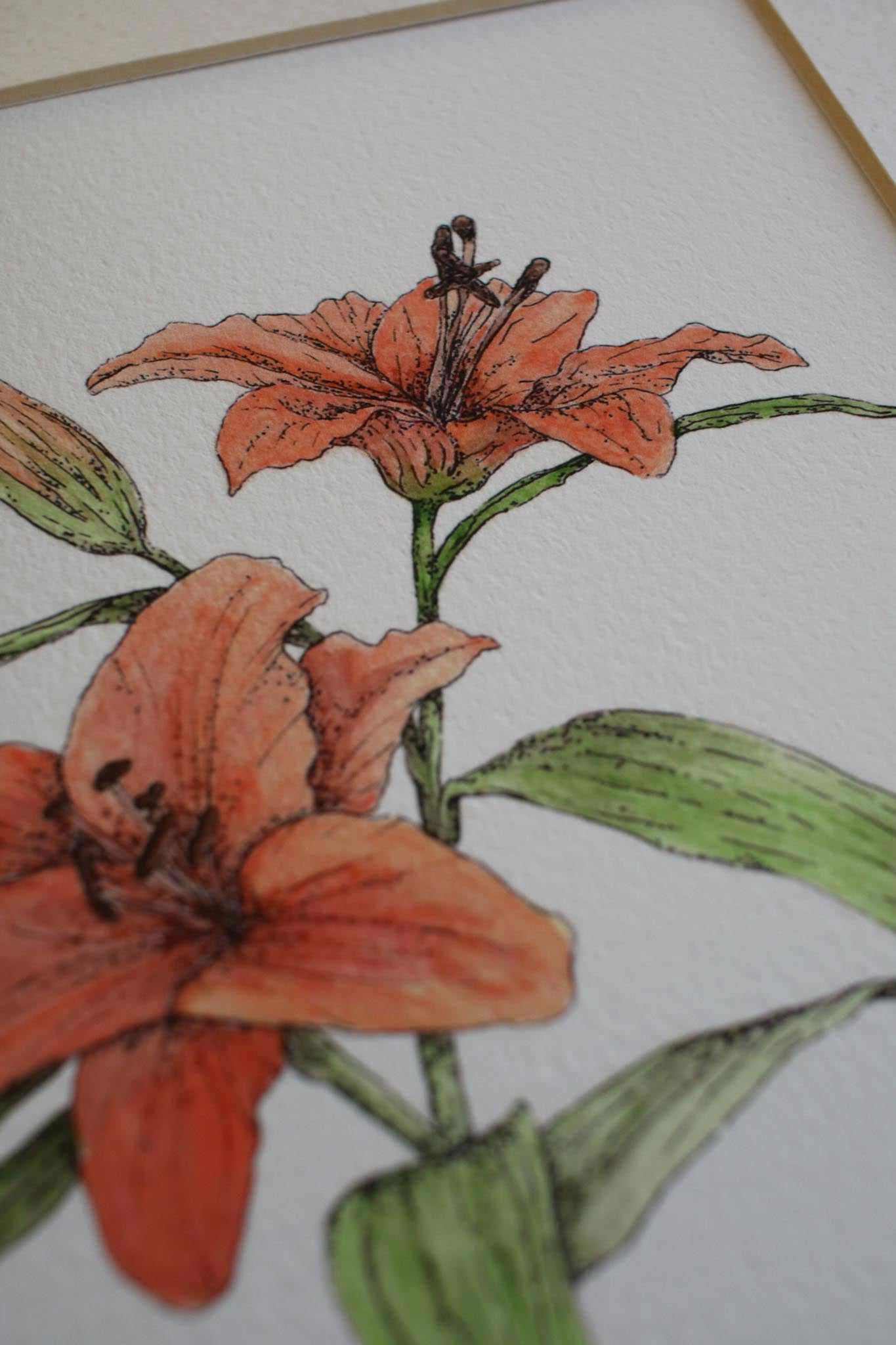 Tiger Lillies